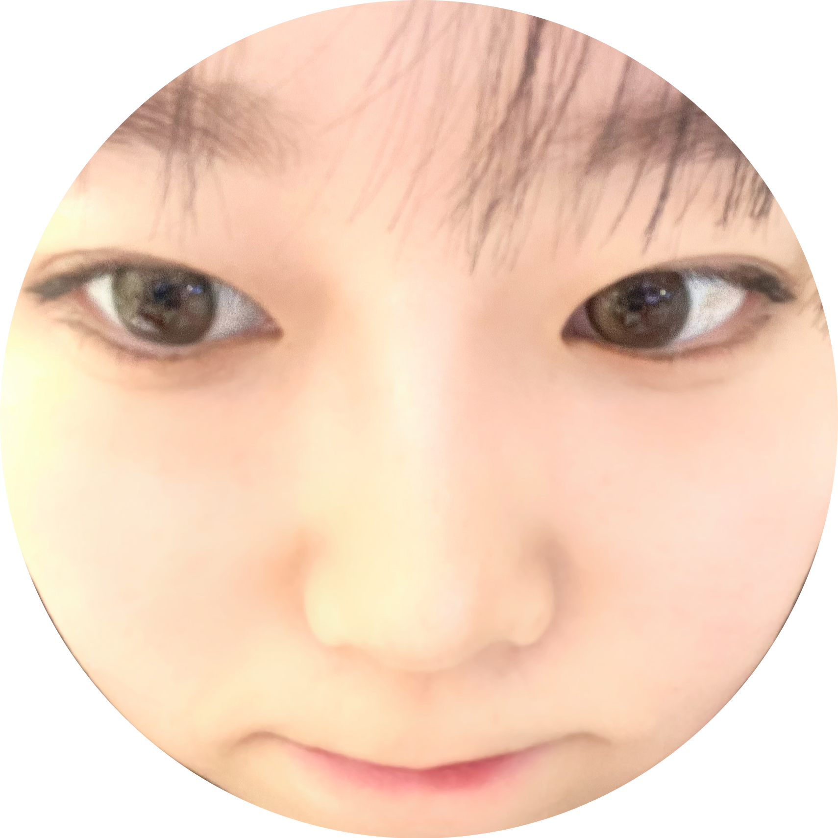 레오니 Leoni