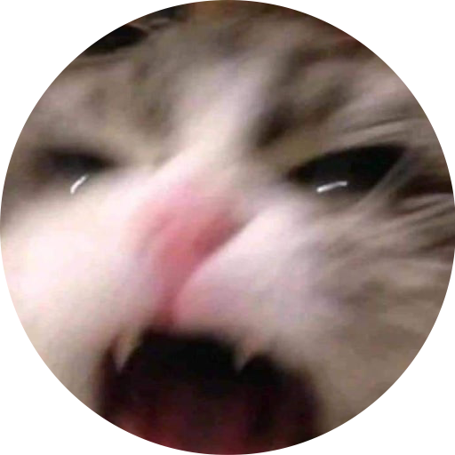 느 아
