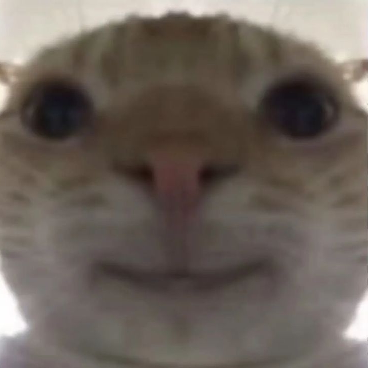 비니 B1NI