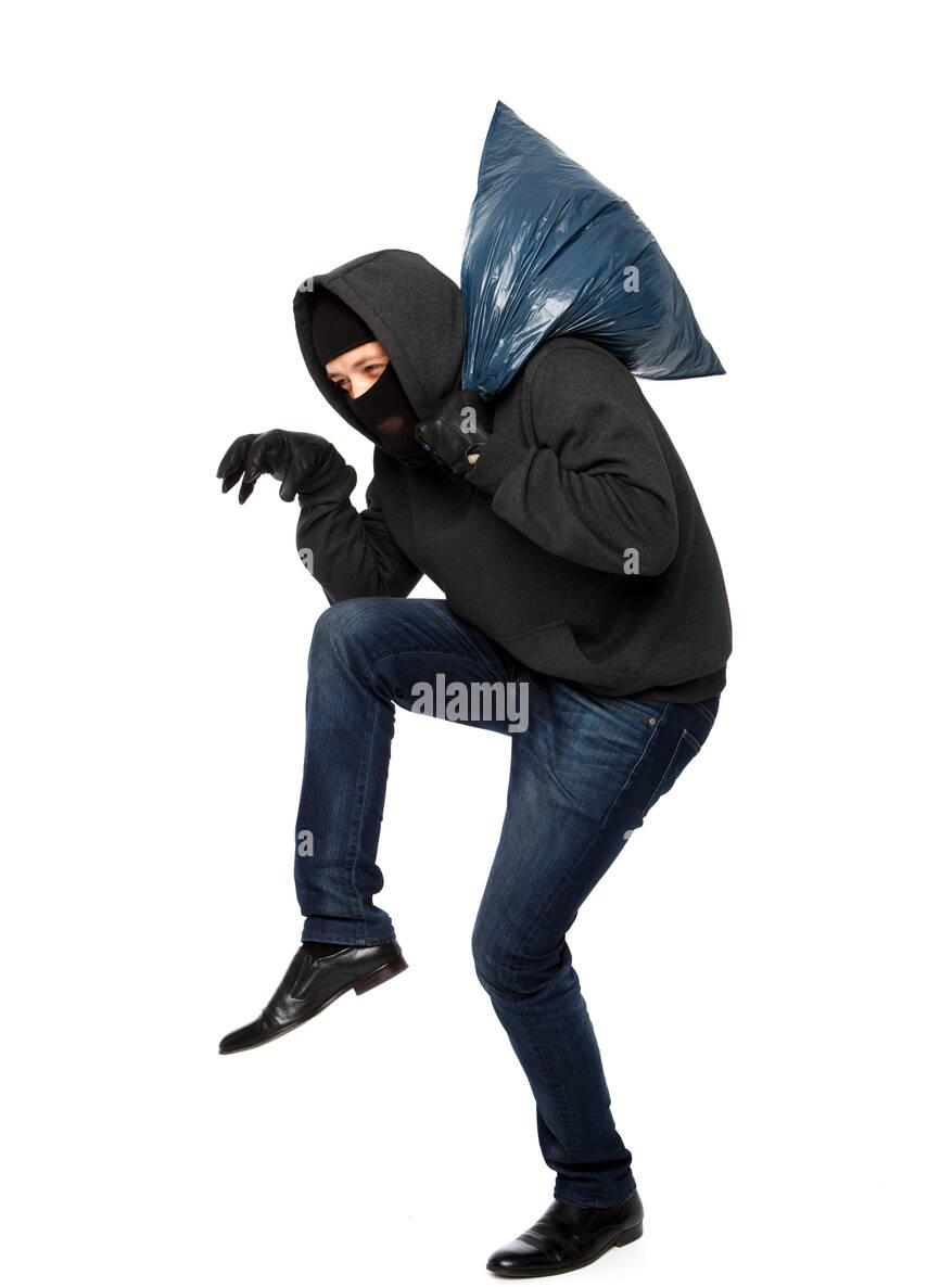 정진정진
