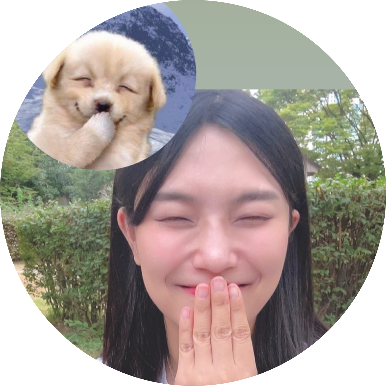 주희제육