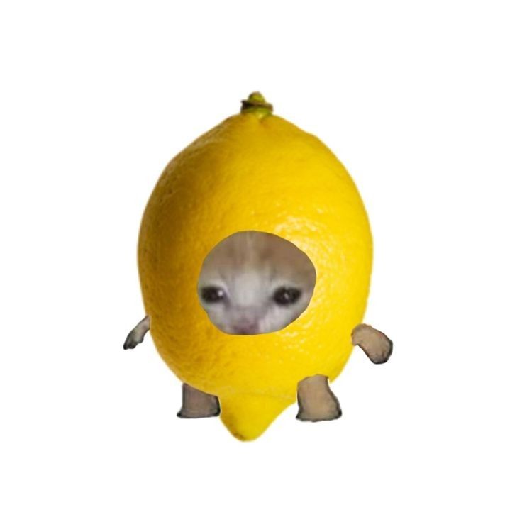 Lemon1207