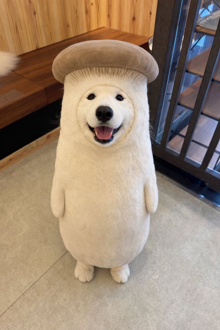살균제