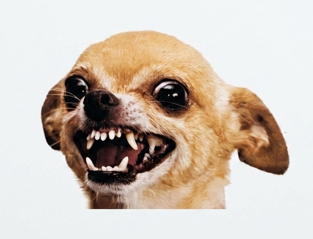 142141