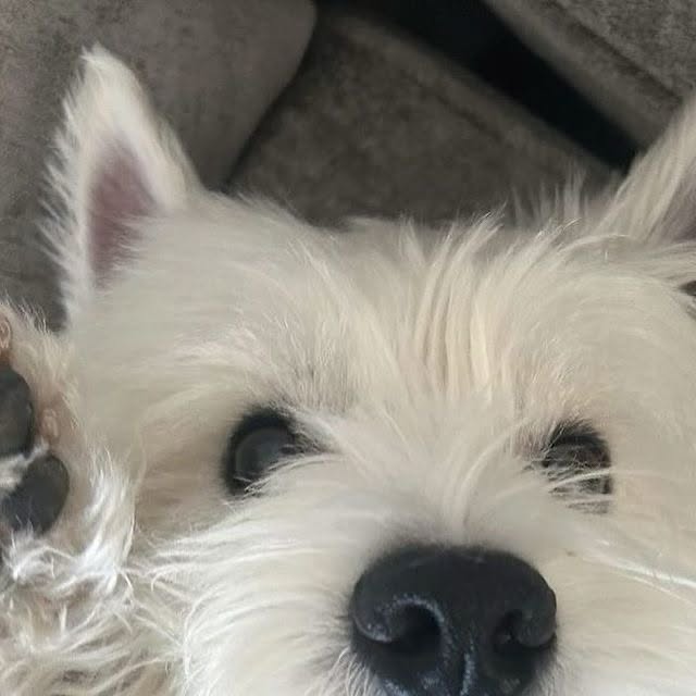 김잔