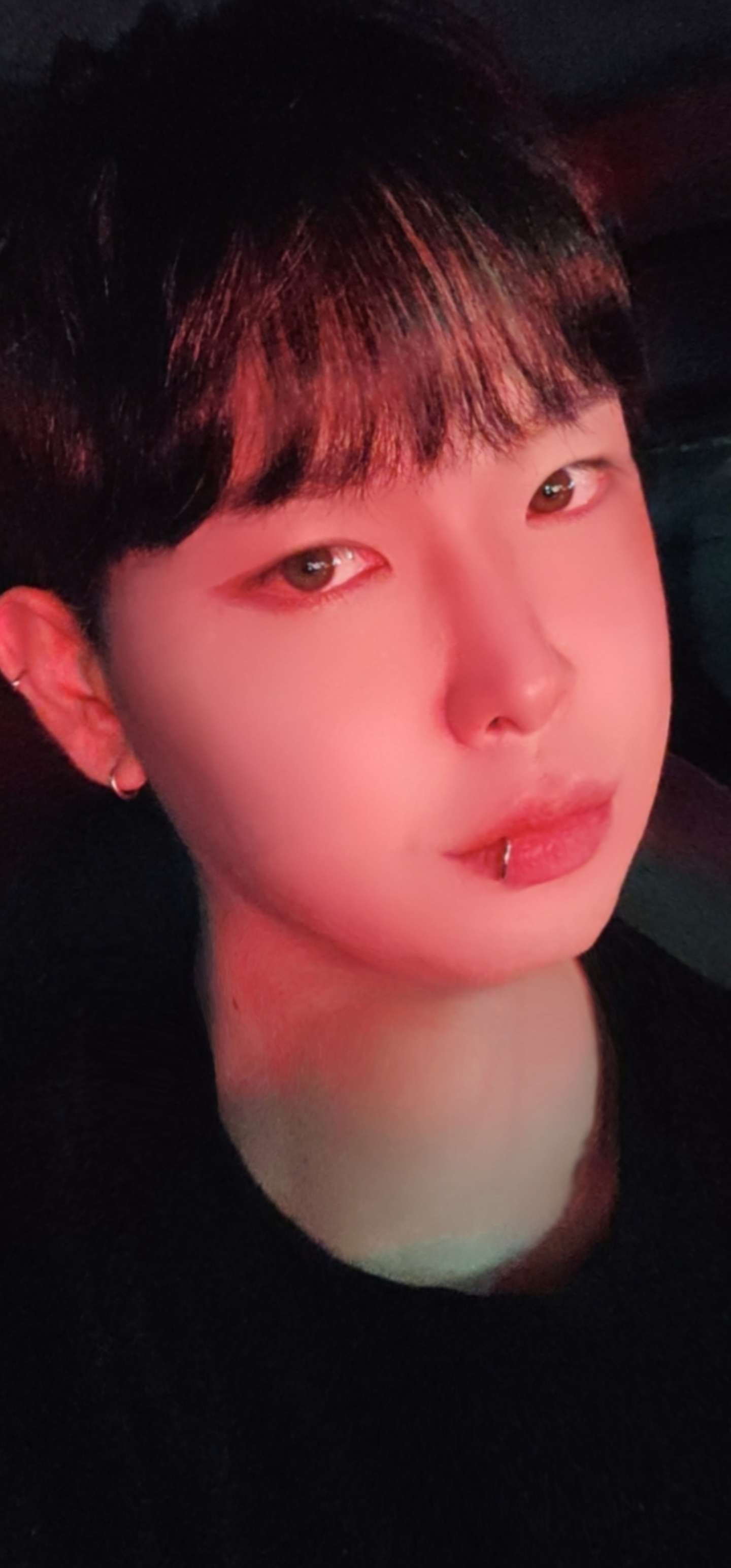 T라미수기