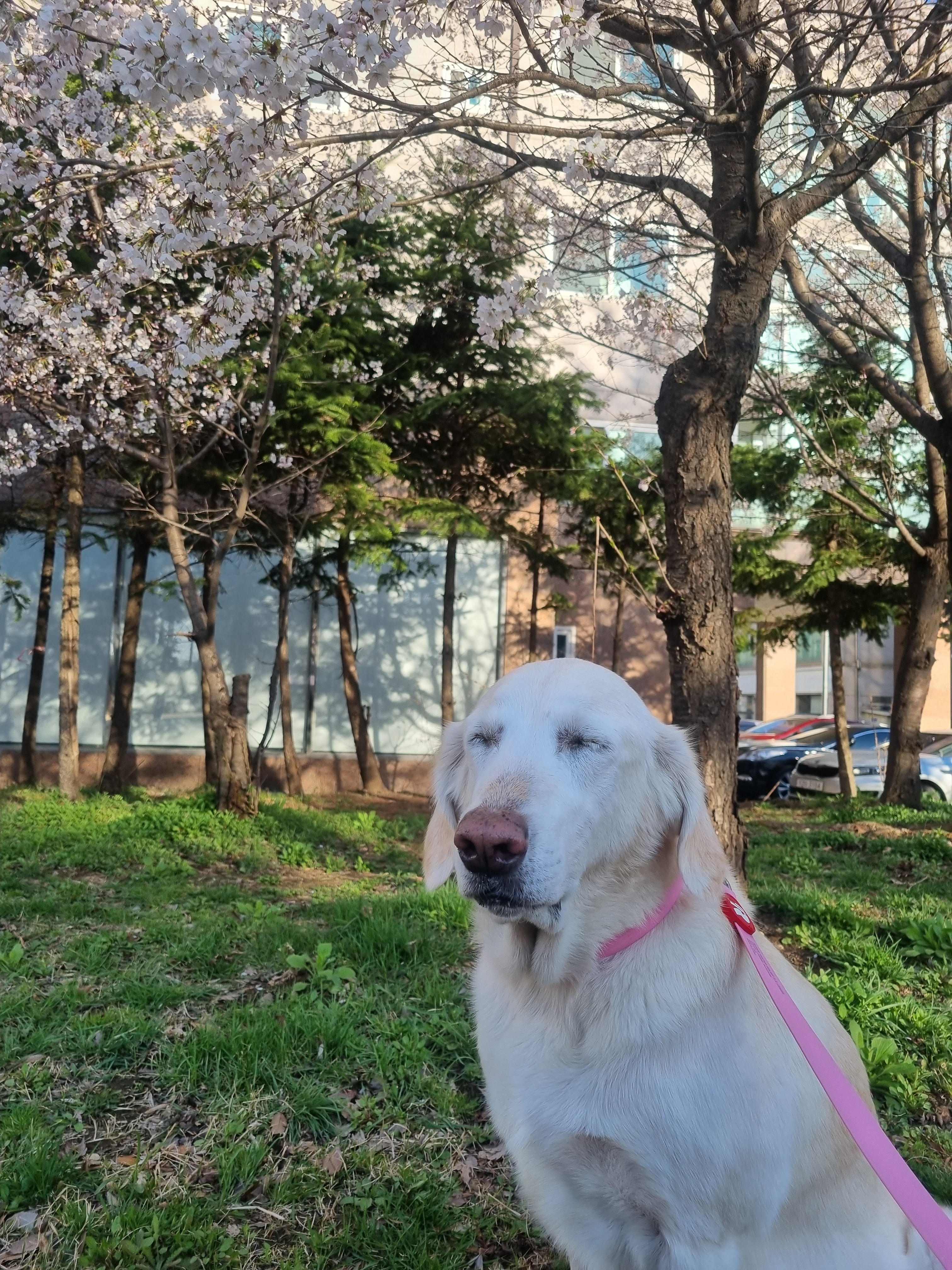 프레호둡