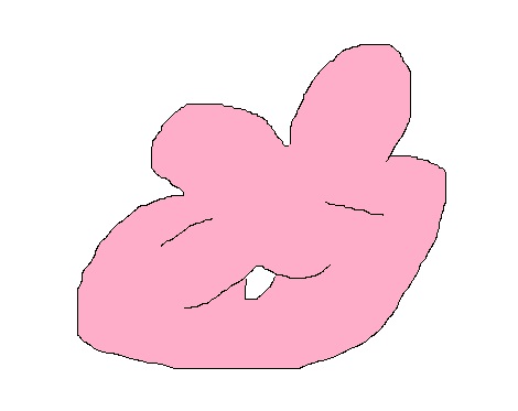 bunnyTheRain