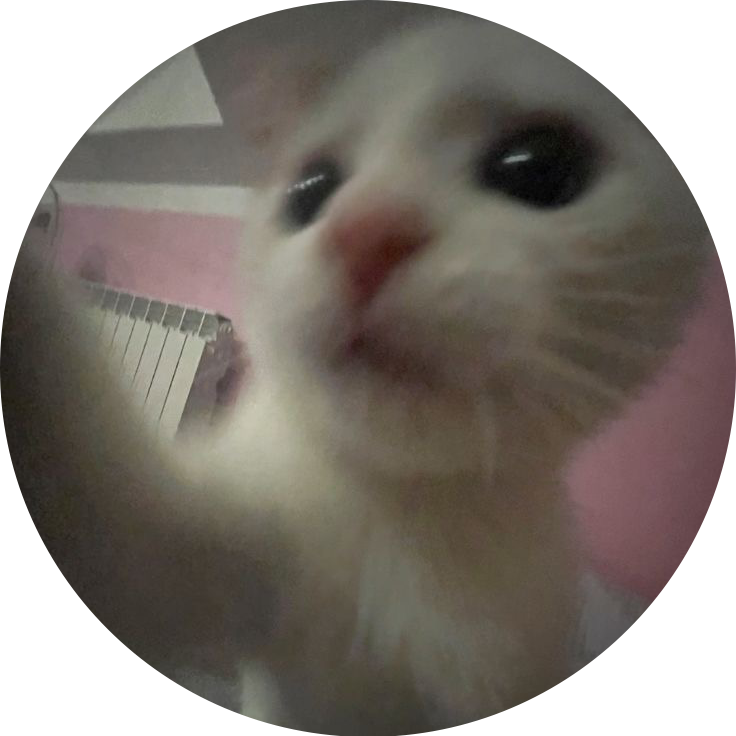 rainvlrt
