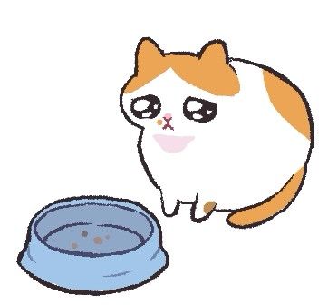 피 네
