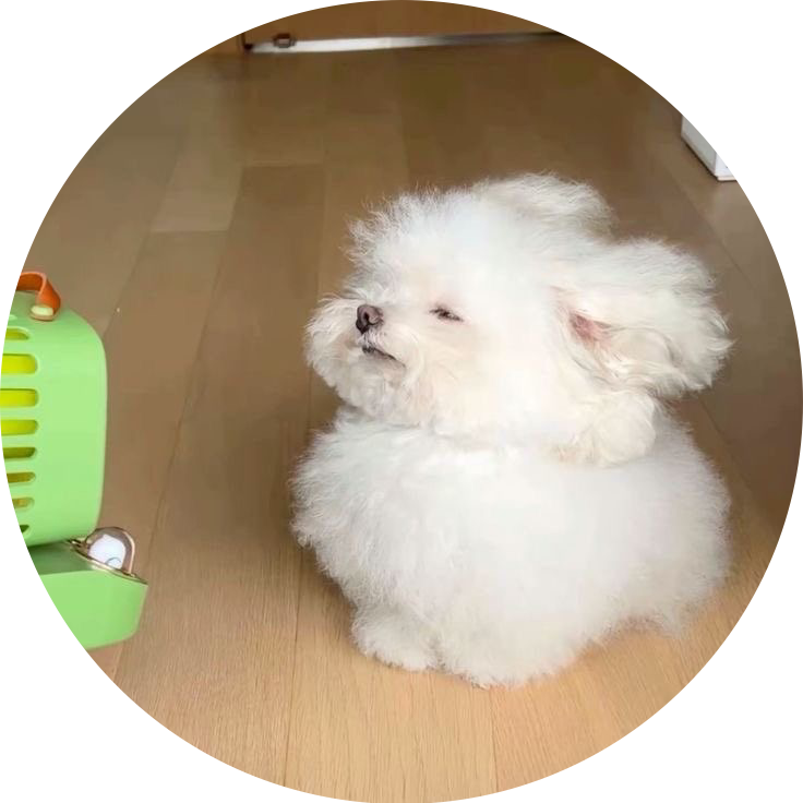감쟈망두1