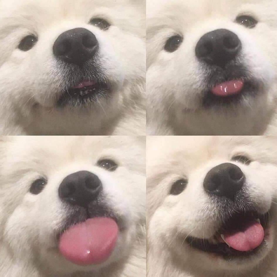NwIMYxxg