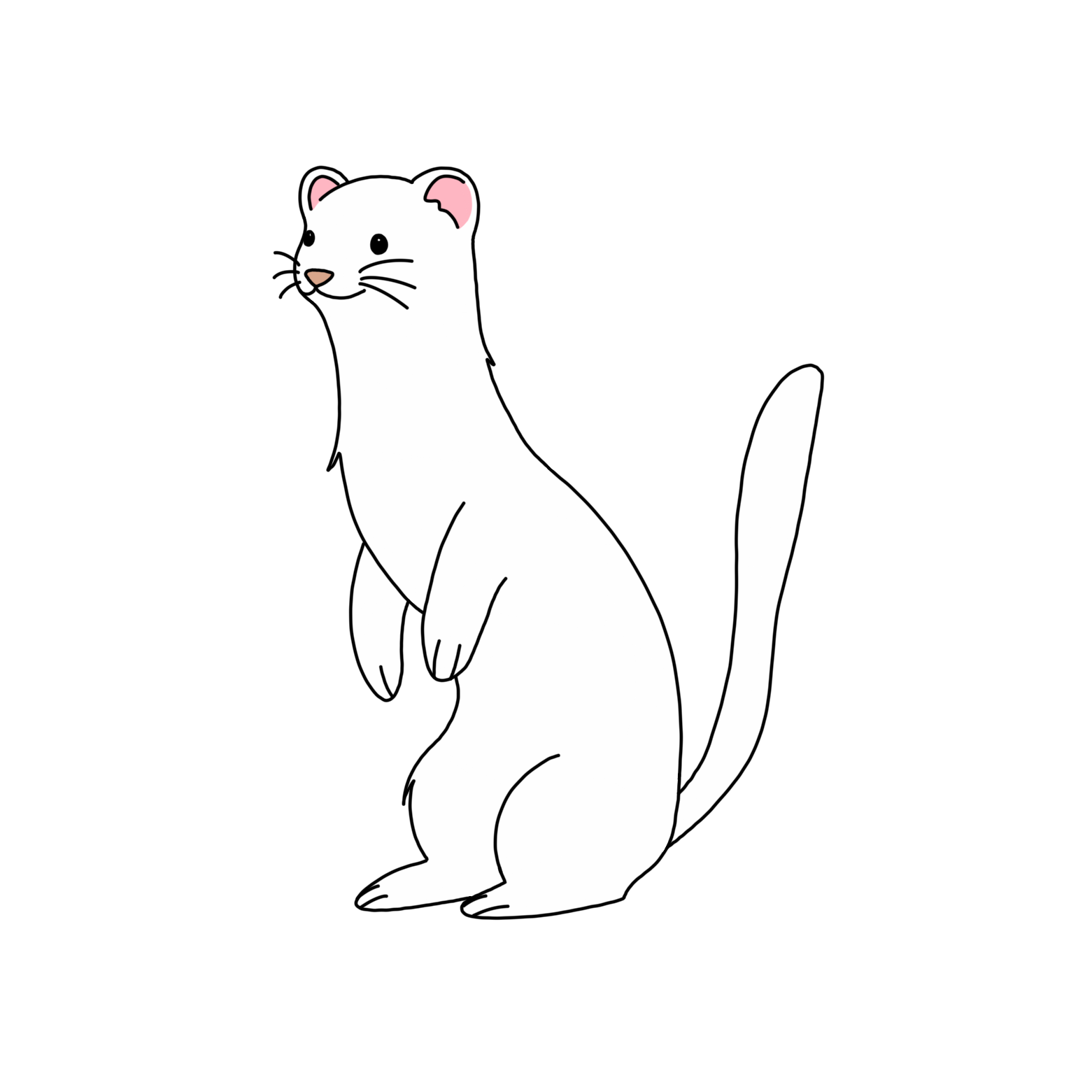 은생갈치