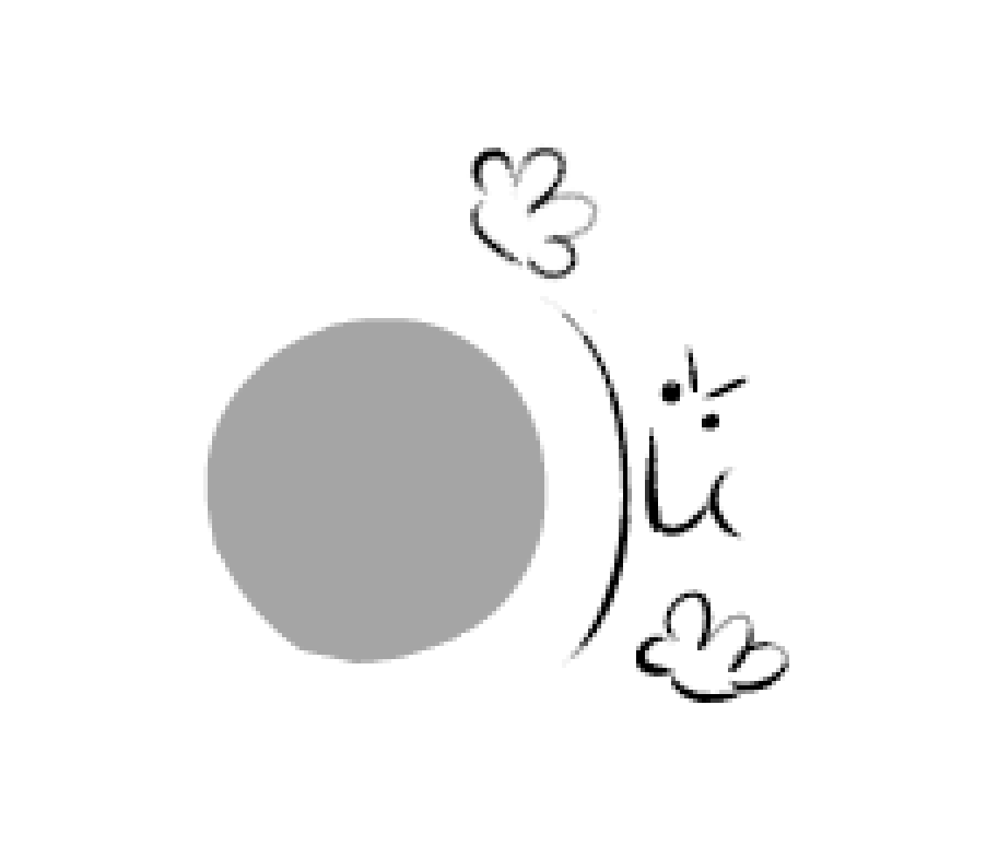 뚱띠콩