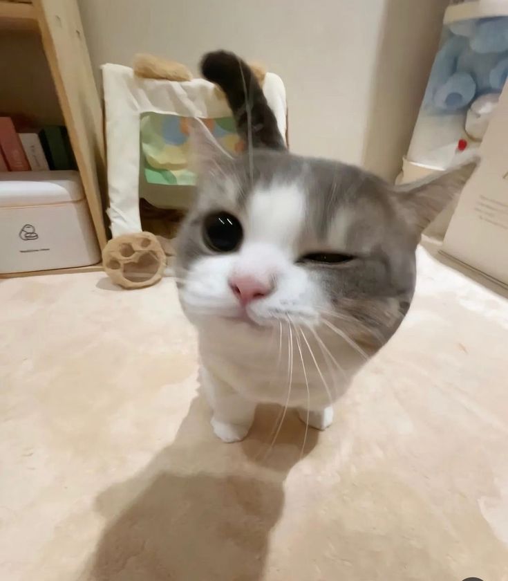 근양그냥