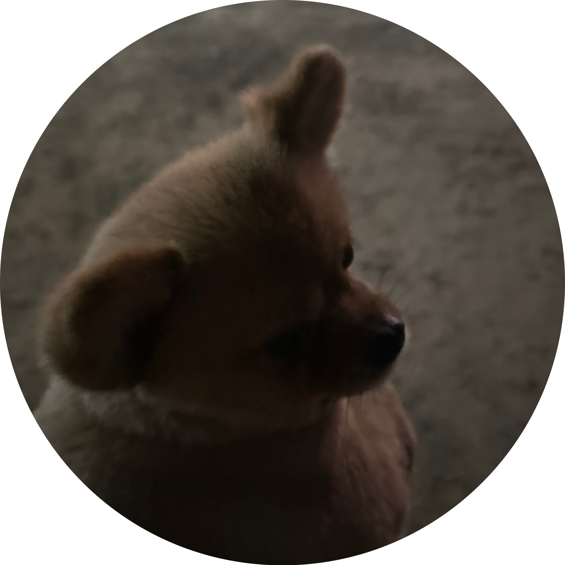 박왼기