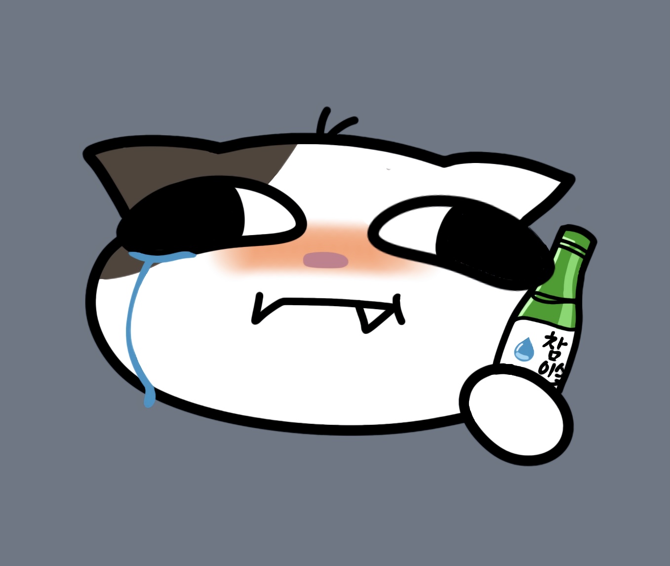 혼술러 ㅜ