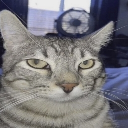 땡공이