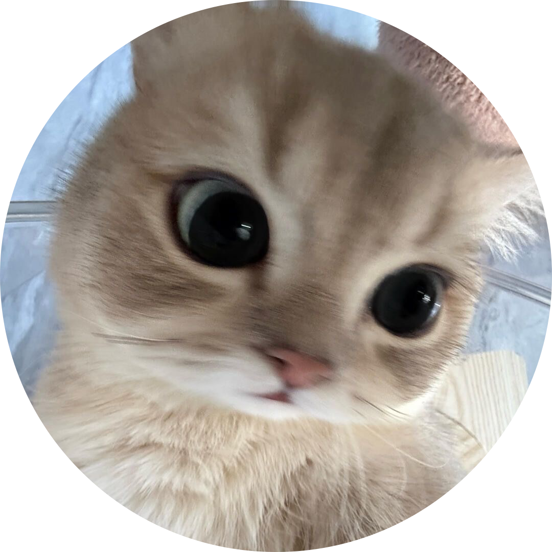 하유닝닝
