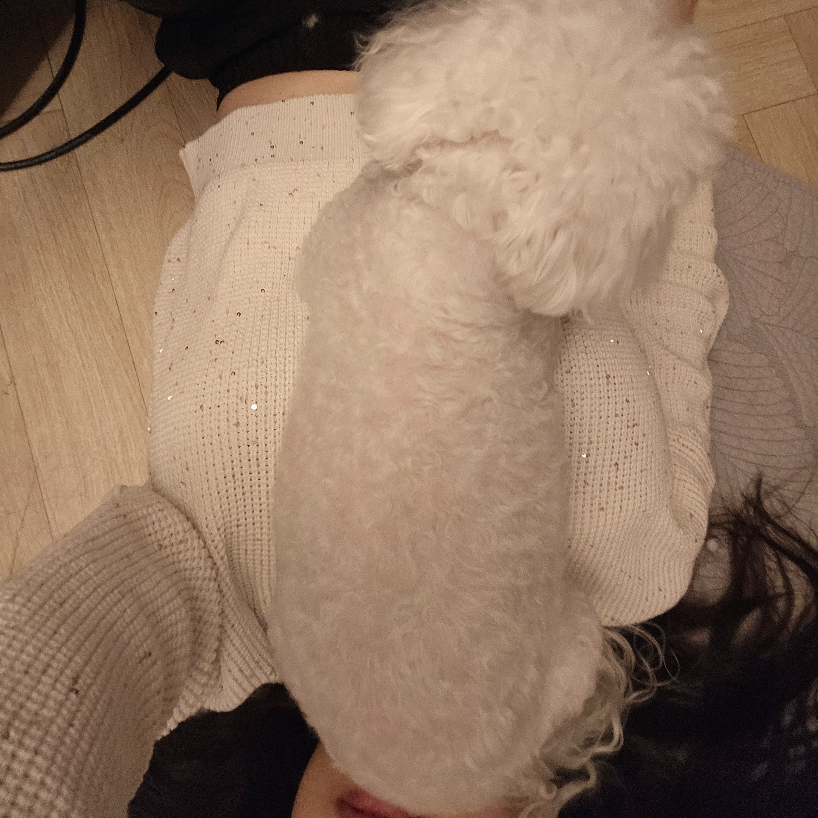 뽀슈아