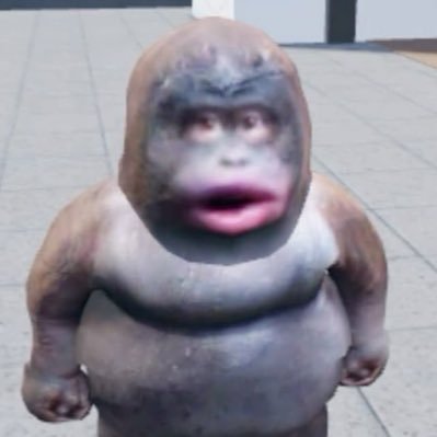 교교고
