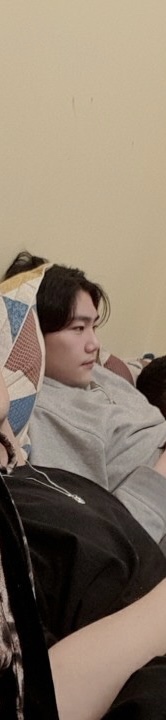 일산테디베어