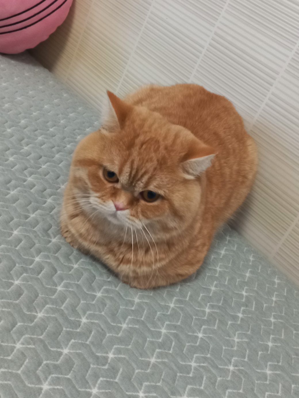 박주성이다