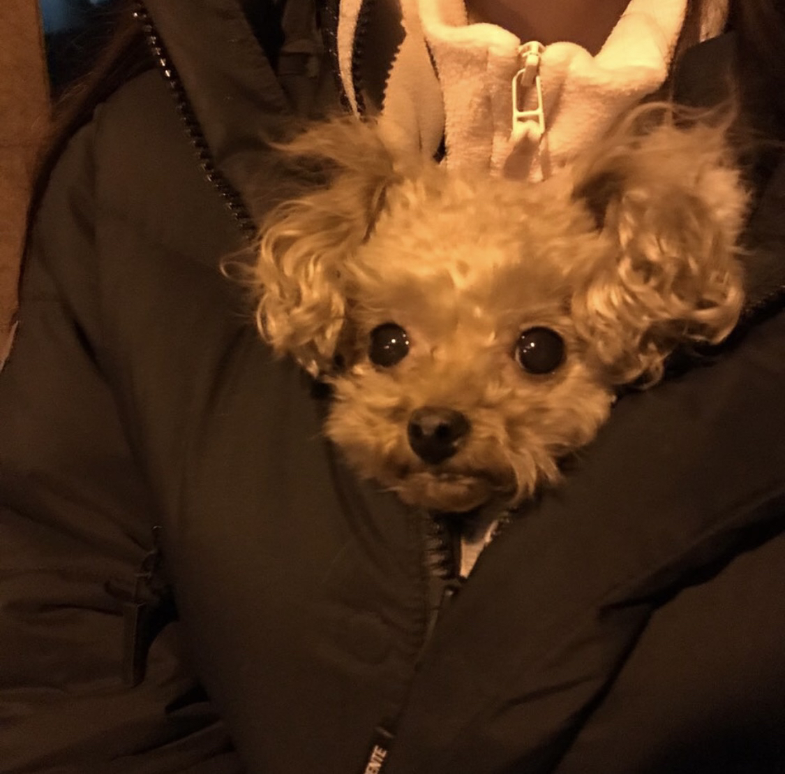 깍순
