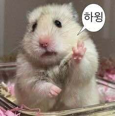 간혈적 단식