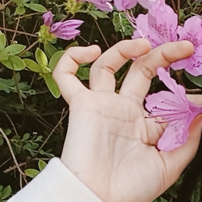 유애양