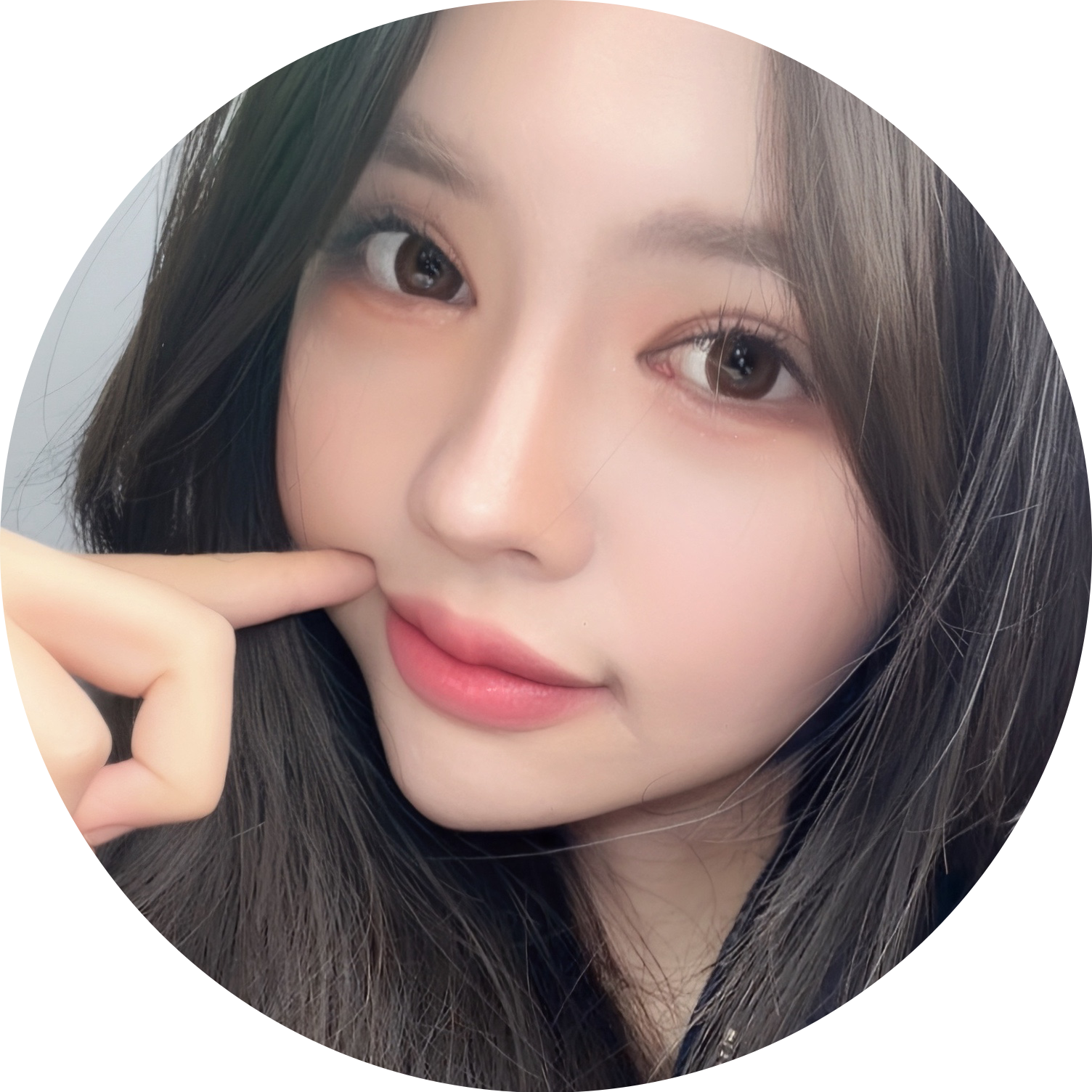 치지직도붕이