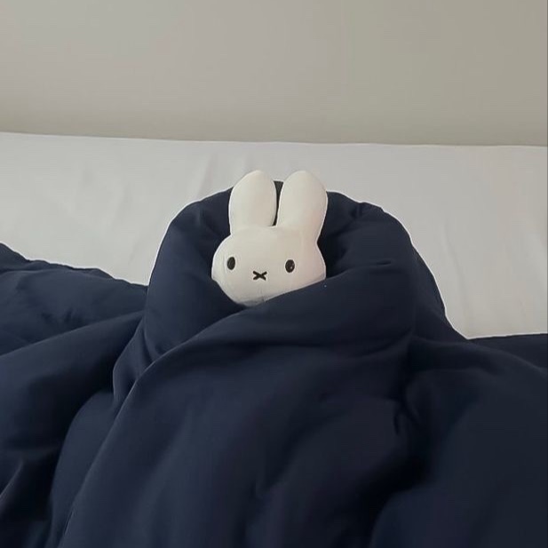 또당또담