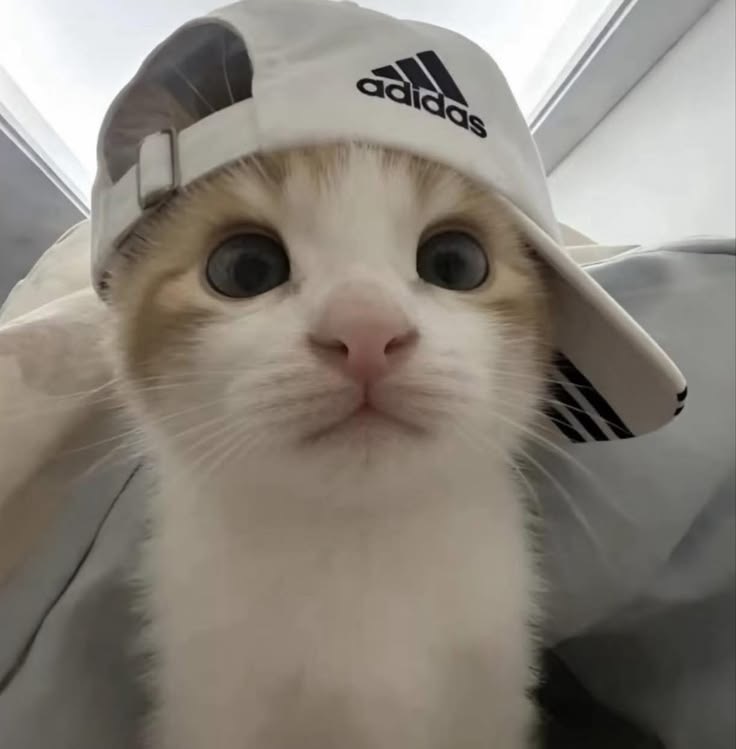 윤떡떡