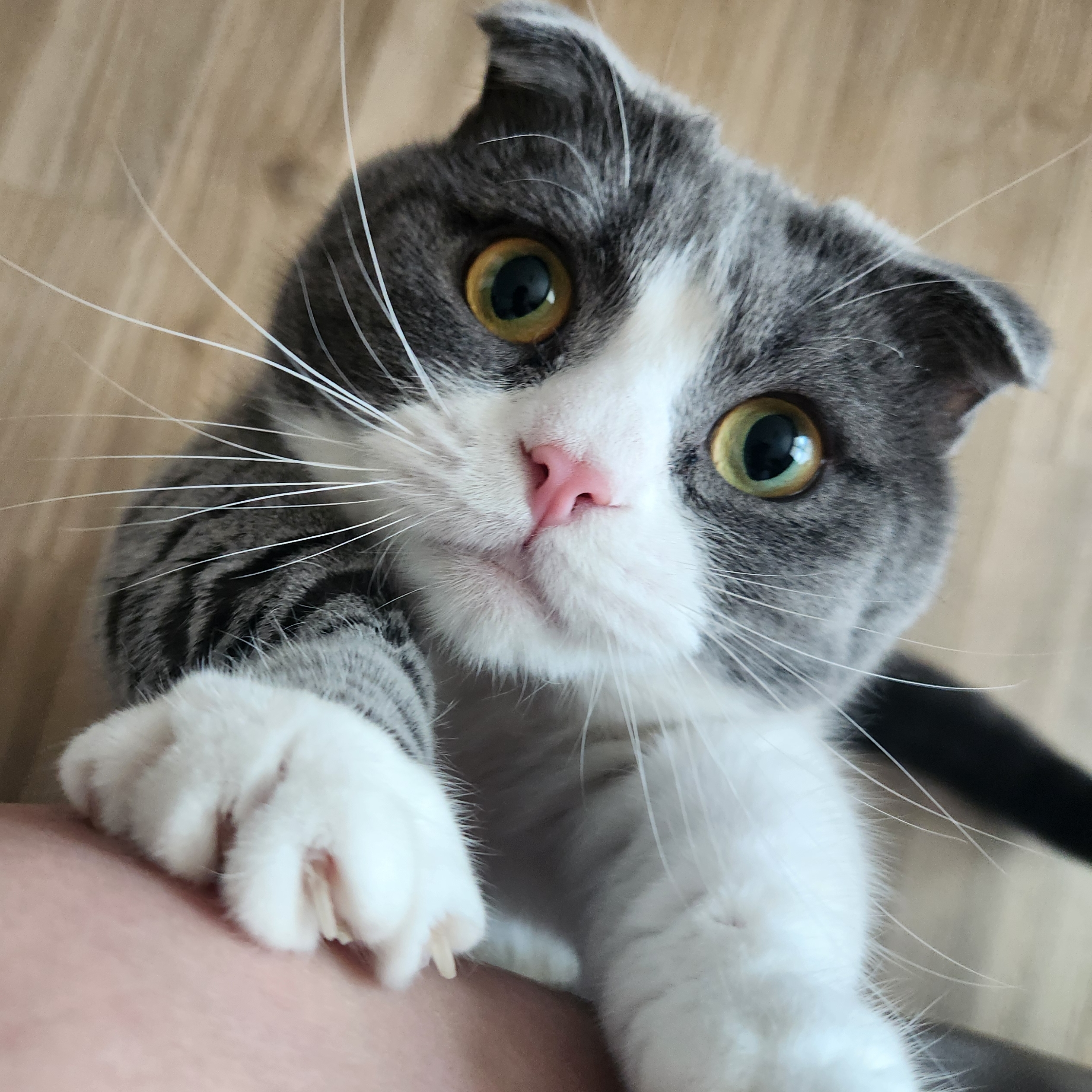 영란철