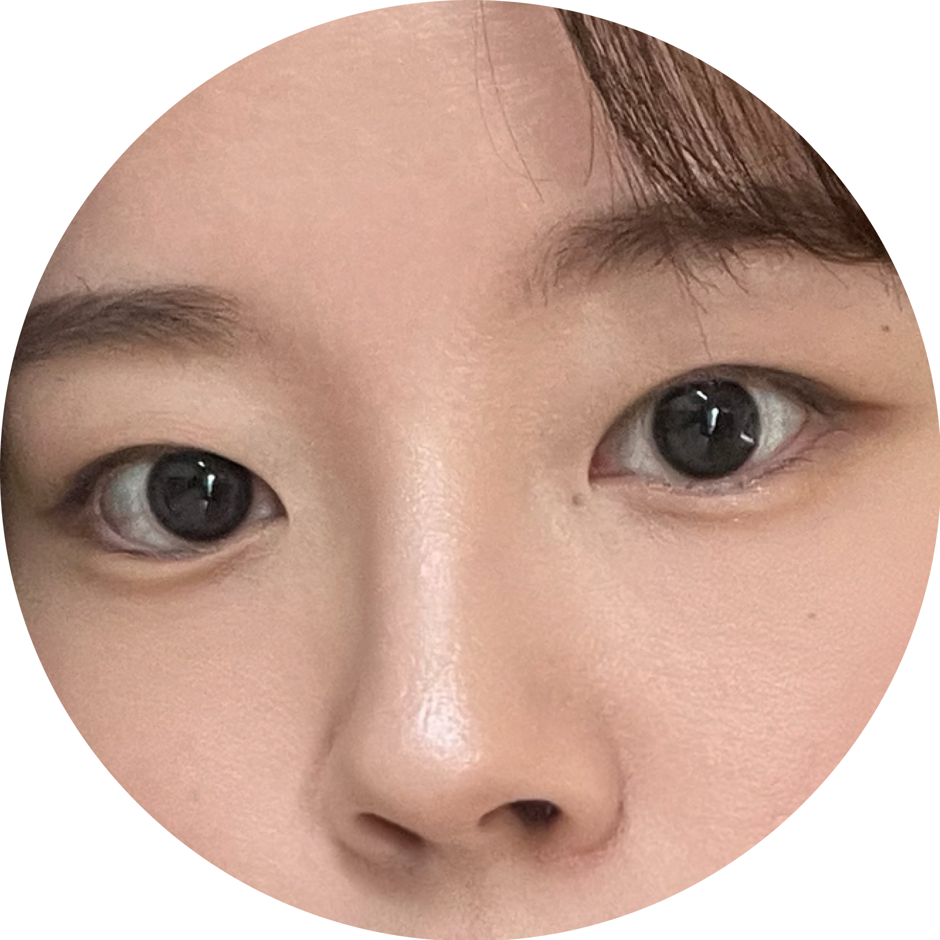 서뚜비