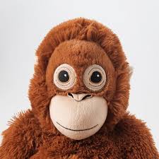 몽키몽키몽키킹