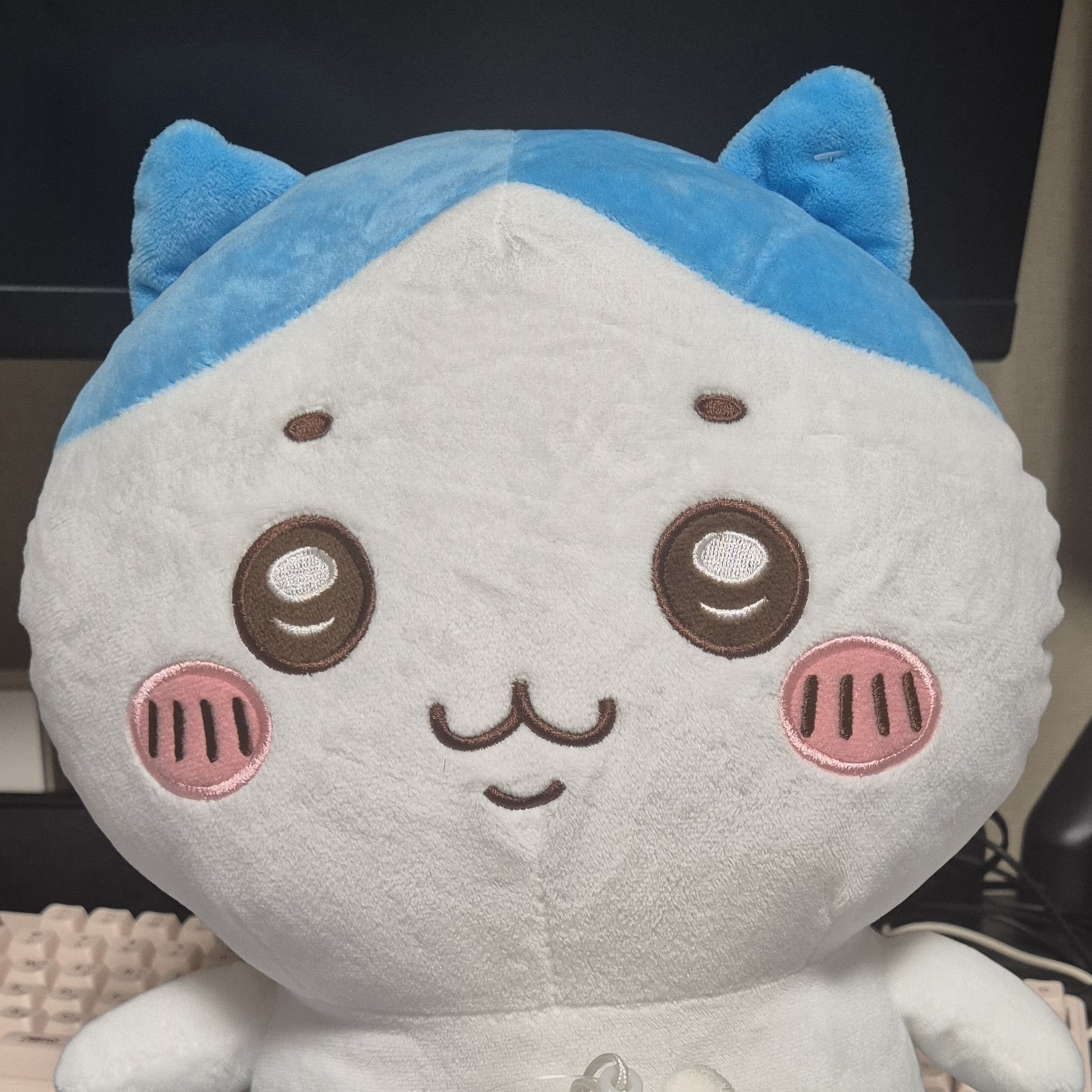 달리는 포도567