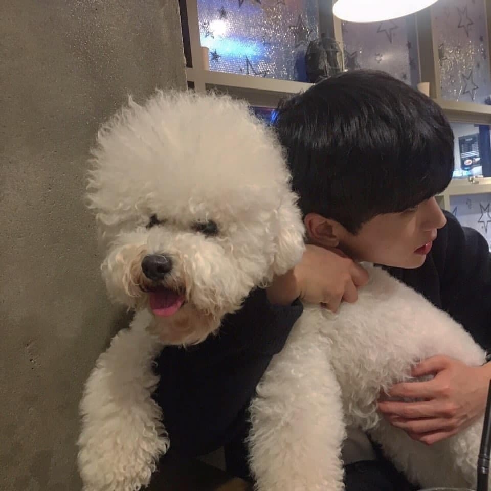 석재몬