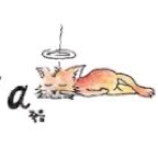 패션근육멸치육수