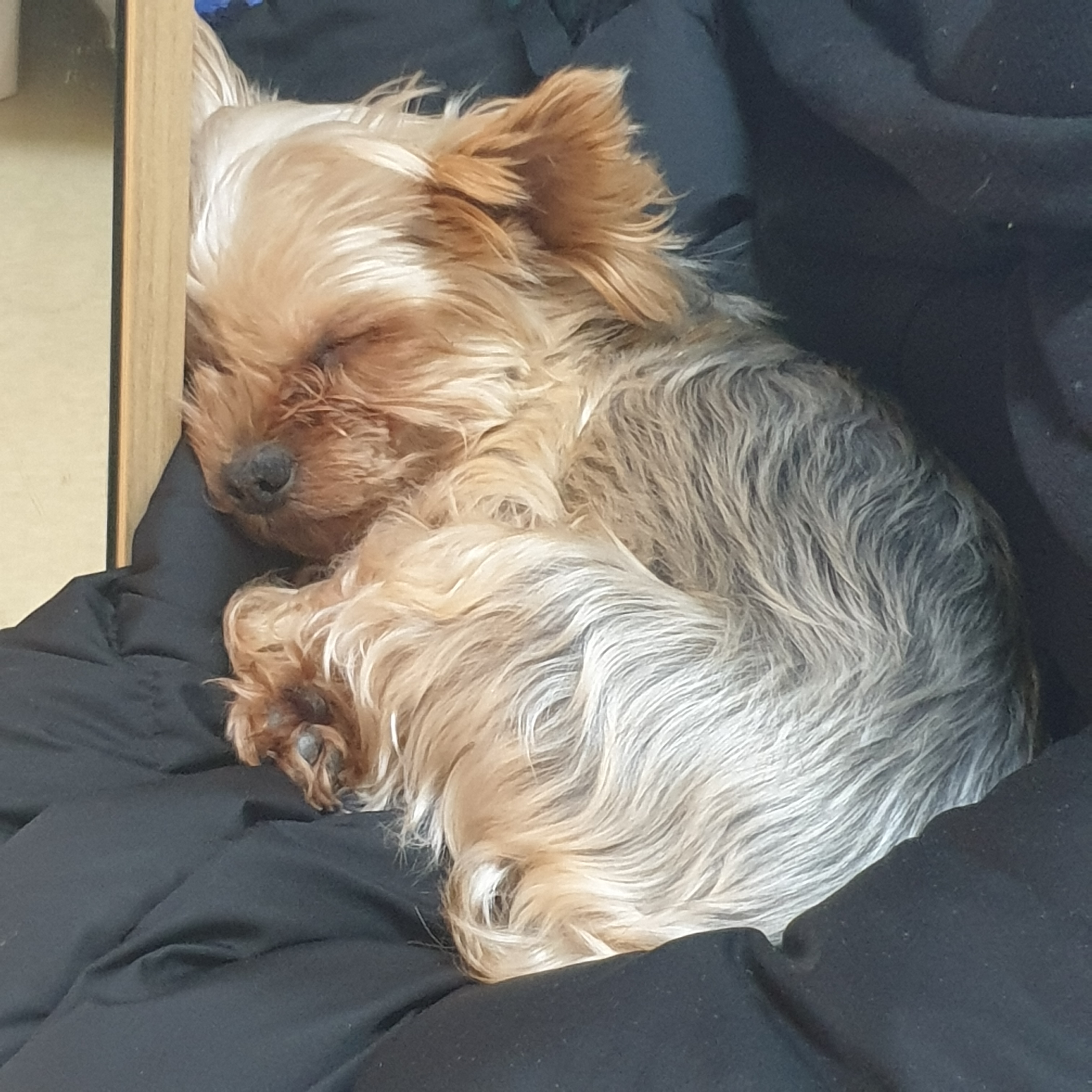 죄인 르하밈