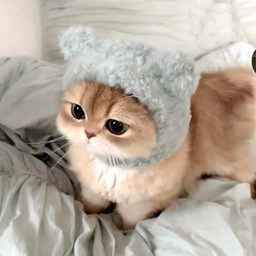 브라보박연진