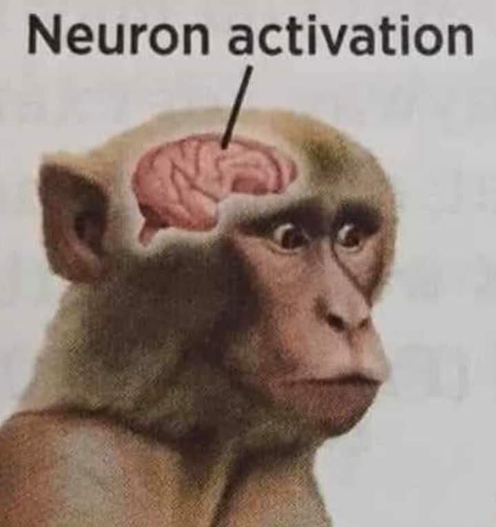 새벼기다