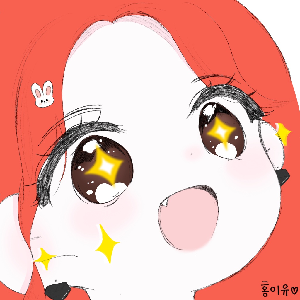 홍 이 유