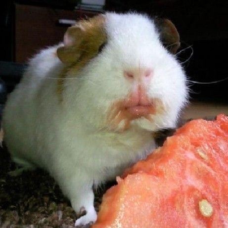 한거누