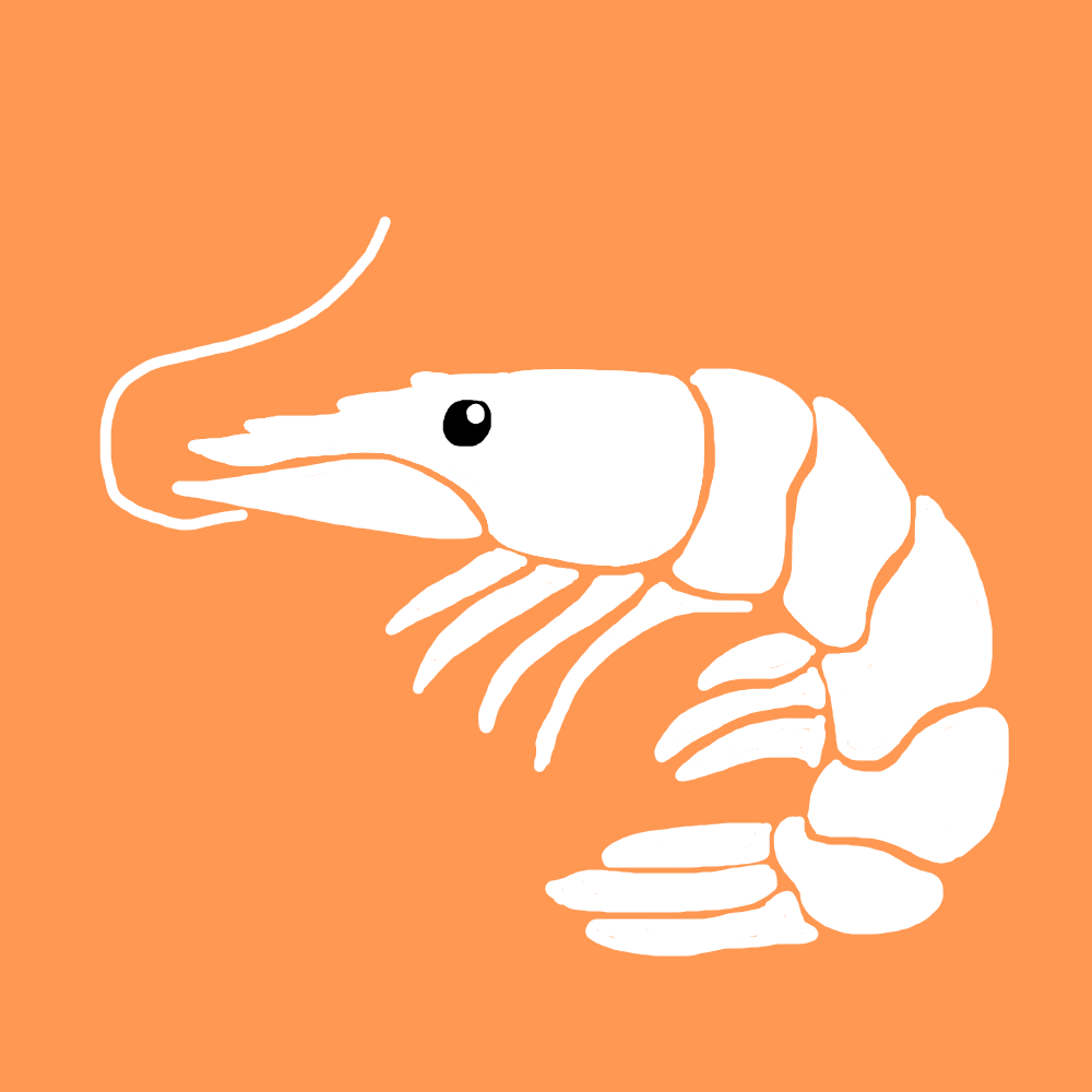 흰새우
