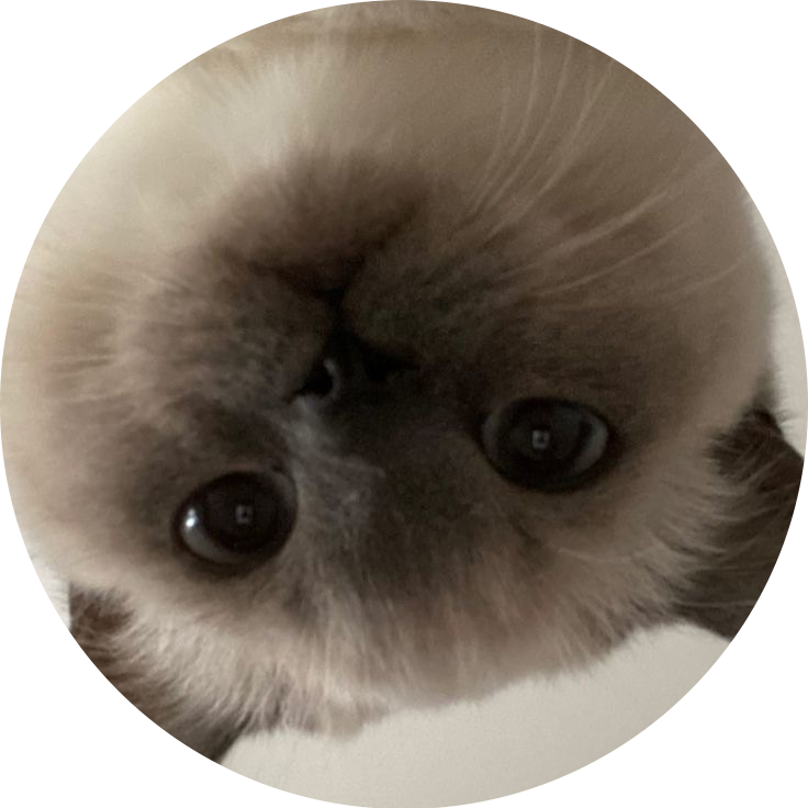 더프 DuF