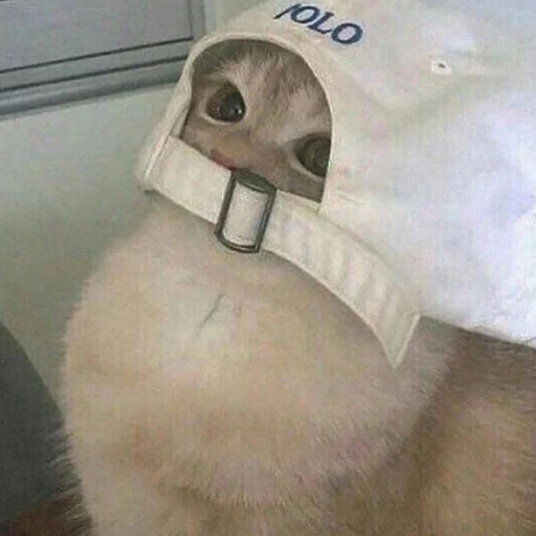 은유ㅎ ㅏ
