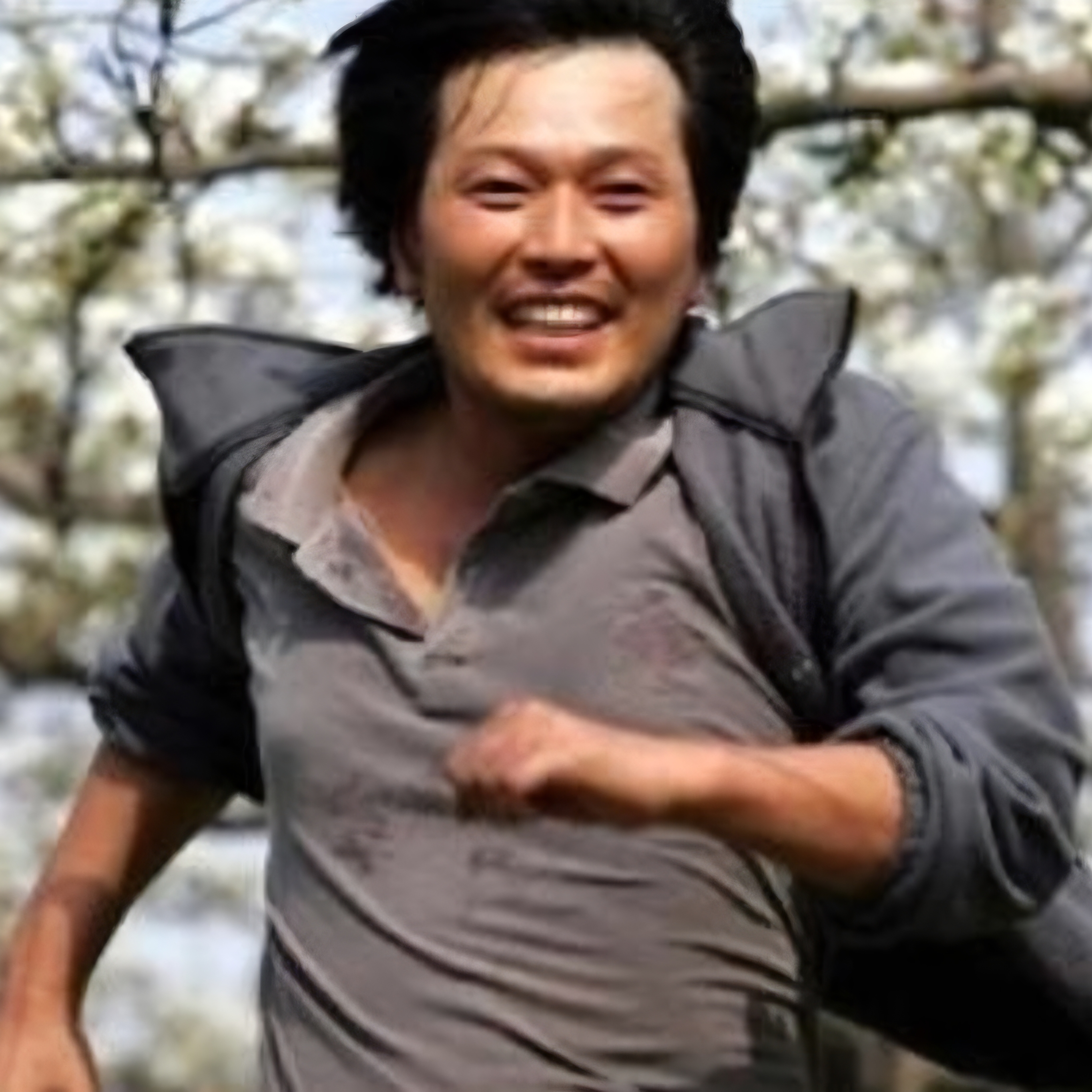 발판이치와와