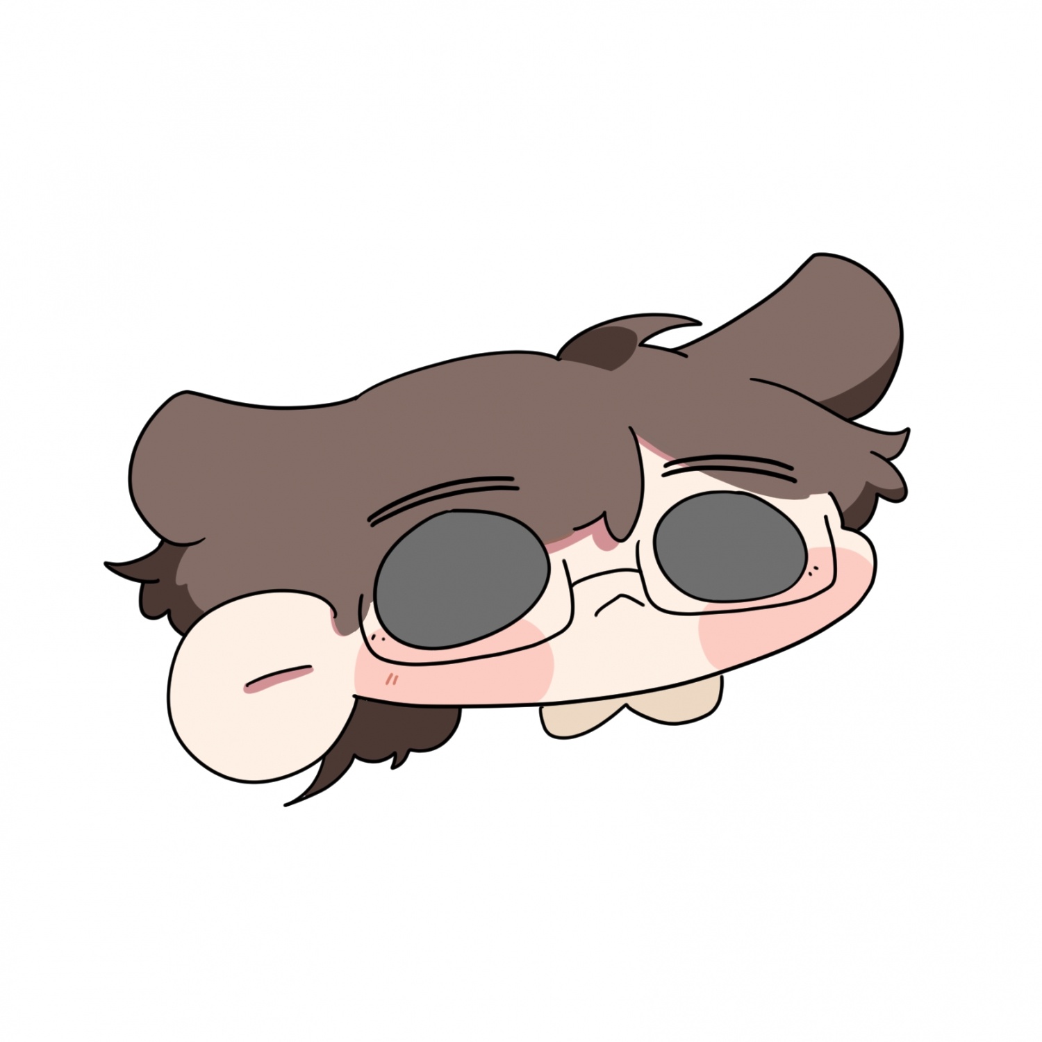 코기0