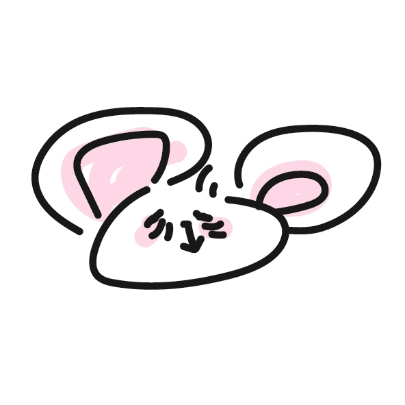 김채록